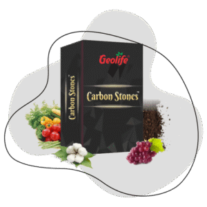 CARBOM STONES ( GEOLIFE)
