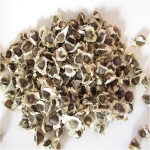 MORINGA SEEDS 10GM