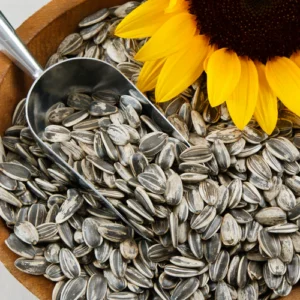 SUN FLOWER SEEDS 100 GM