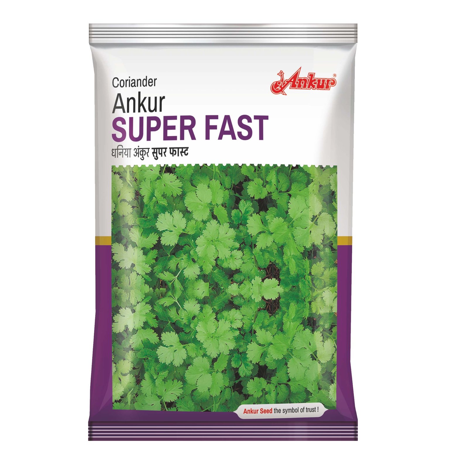 SUPER FAST ANKUR CORIANDER - Image 2