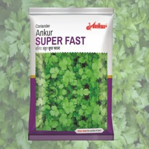 SUPER FAST ANKUR CORIANDER