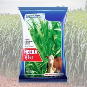 HEERA HY SORGHUM SUDAN ANKUR SEEDS