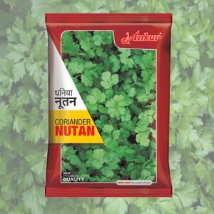 Coriander Nutan ANKUR SEEDS