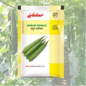 SANIKA ANKUR HYBRID RIDGE GOURD