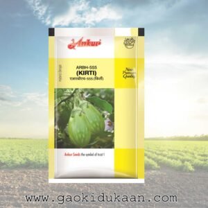 ANKUR KIRTI F1 HYBRID BRINJAL