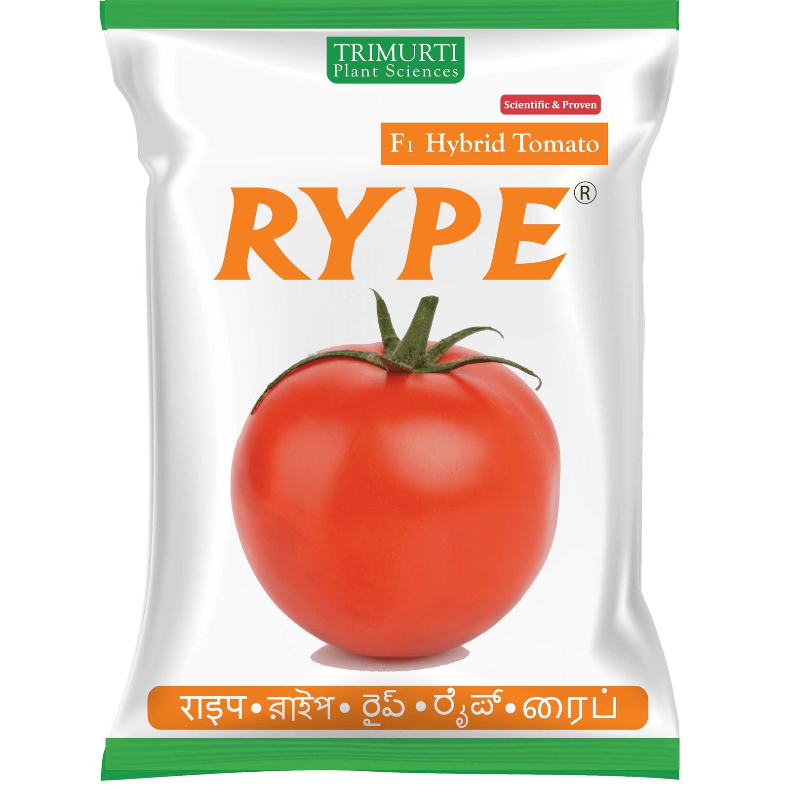 TRIMURTI RIPE TOMATO
