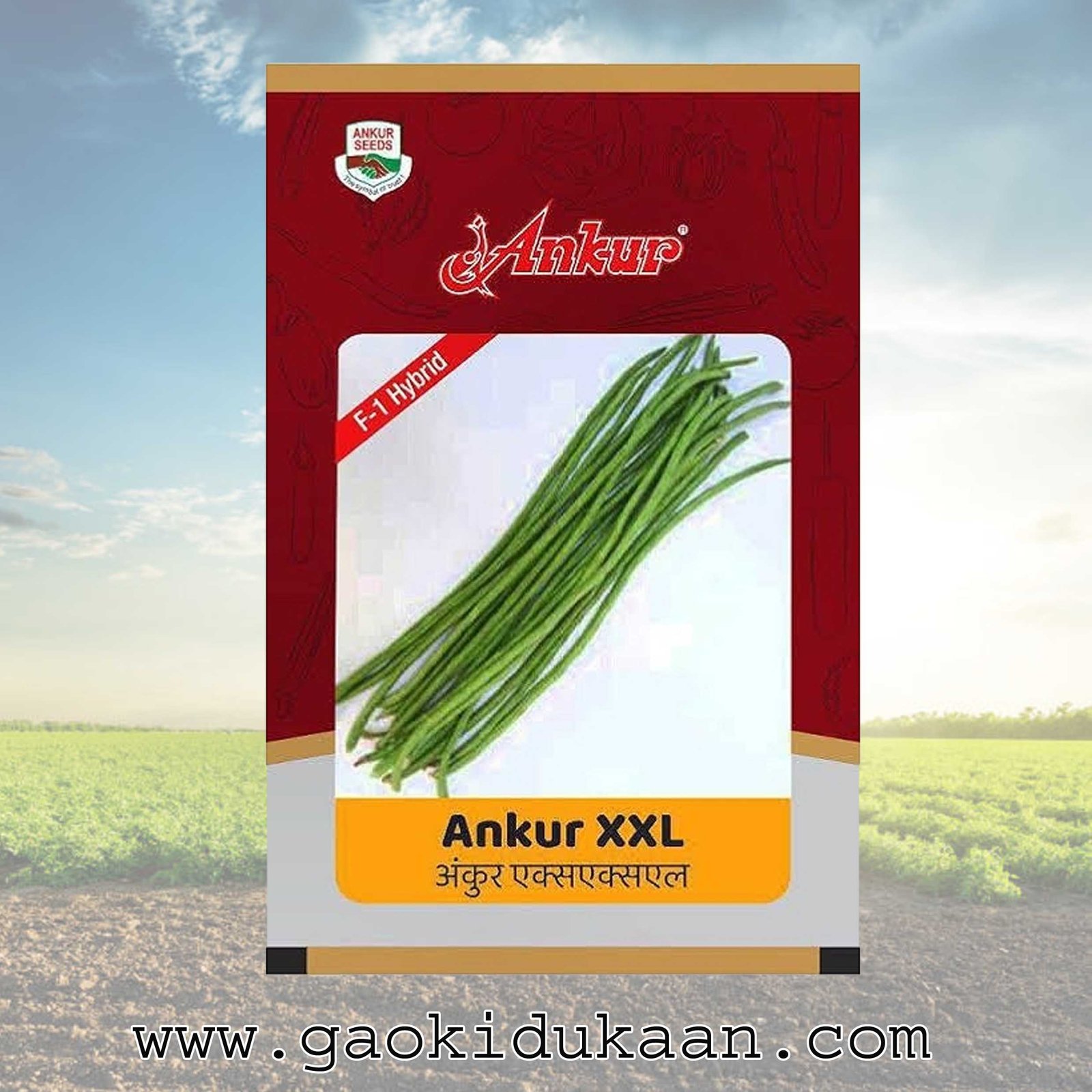 ANKUR HYBIRD LOBIA XXL SEEDS
