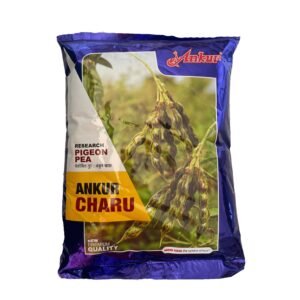 TUR ANKUR CHARU