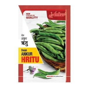 ANKUR SEEDS HRITU SEMI ( RITU )