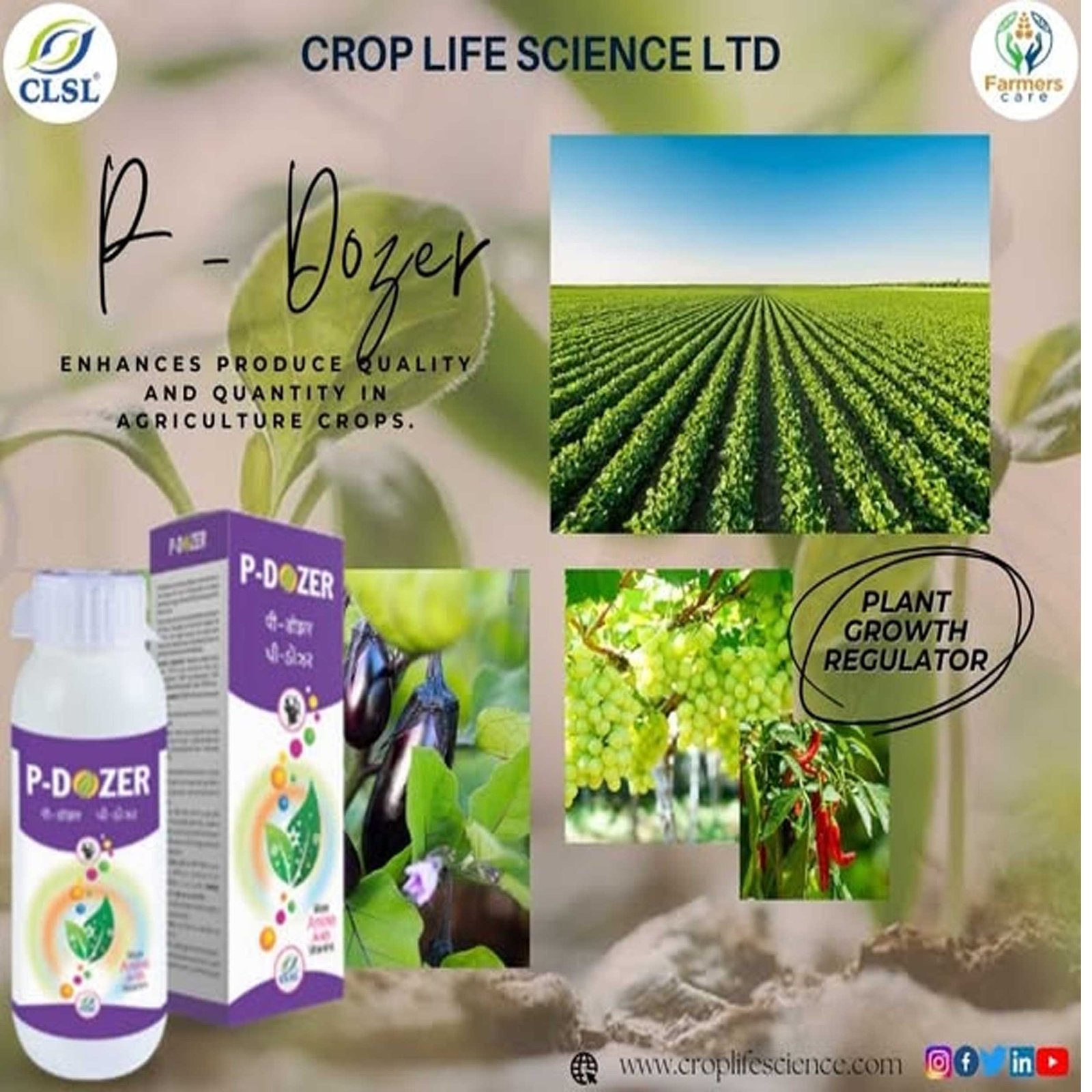 P-DOZER – CLSL - Image 2