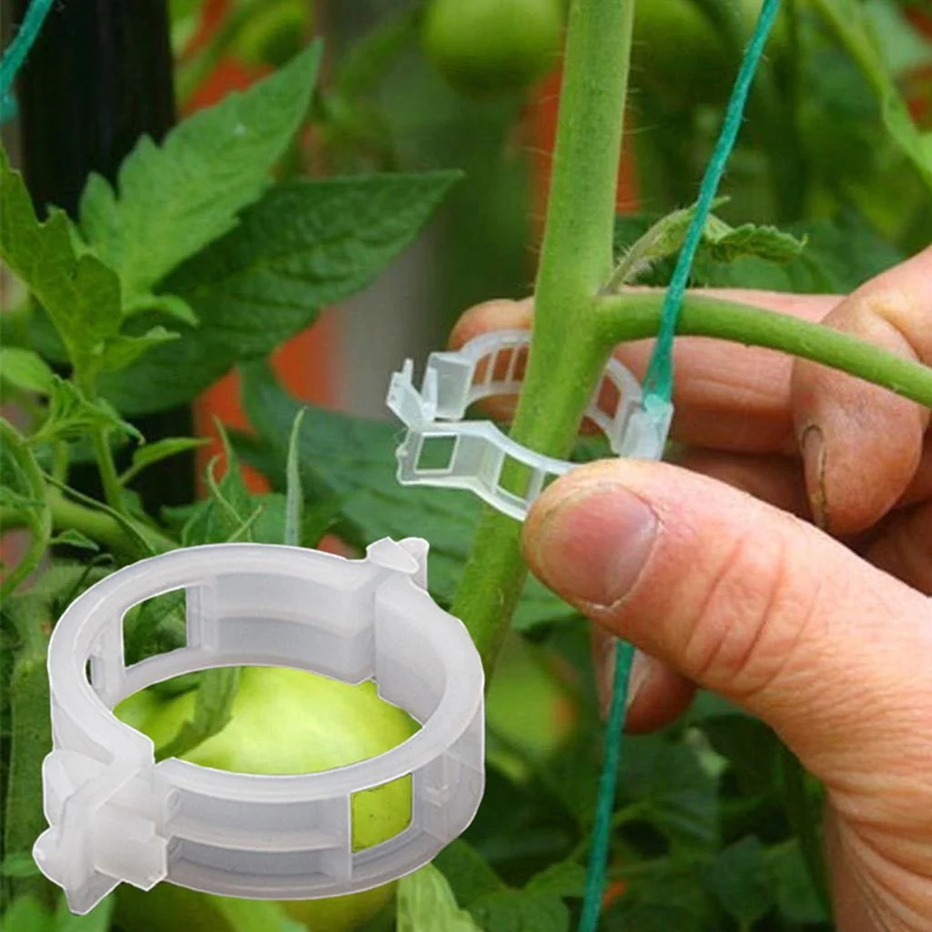 Tomato clips ( GROWIT ) - Image 2