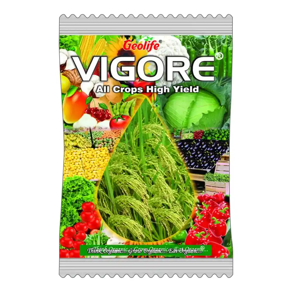 VIGORE - Image 2