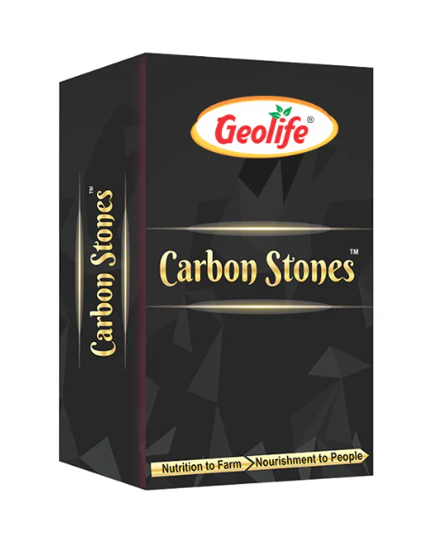 CARBOM STONES ( GEOLIFE) - Image 2