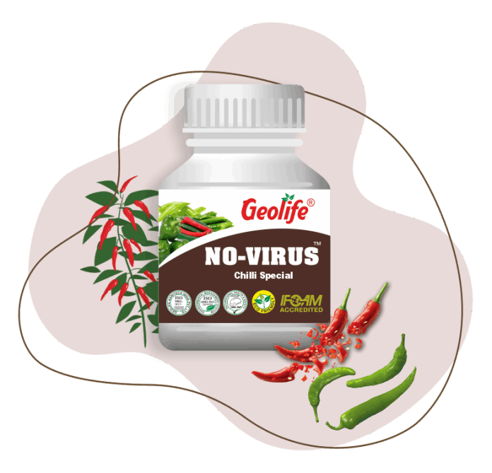 NO-VIRUS CHILLI SPECIAL ( GEOLIFE )
