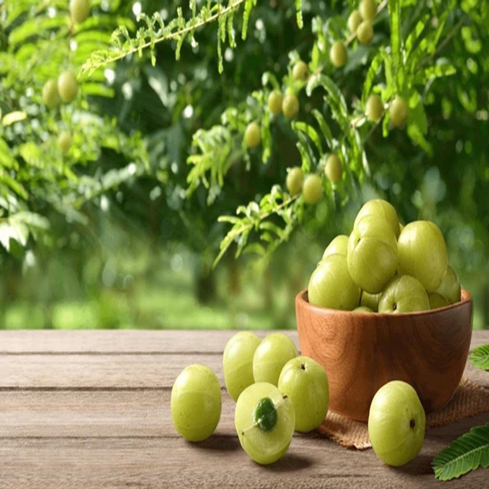 SWEET AMLA CANDY - Image 3