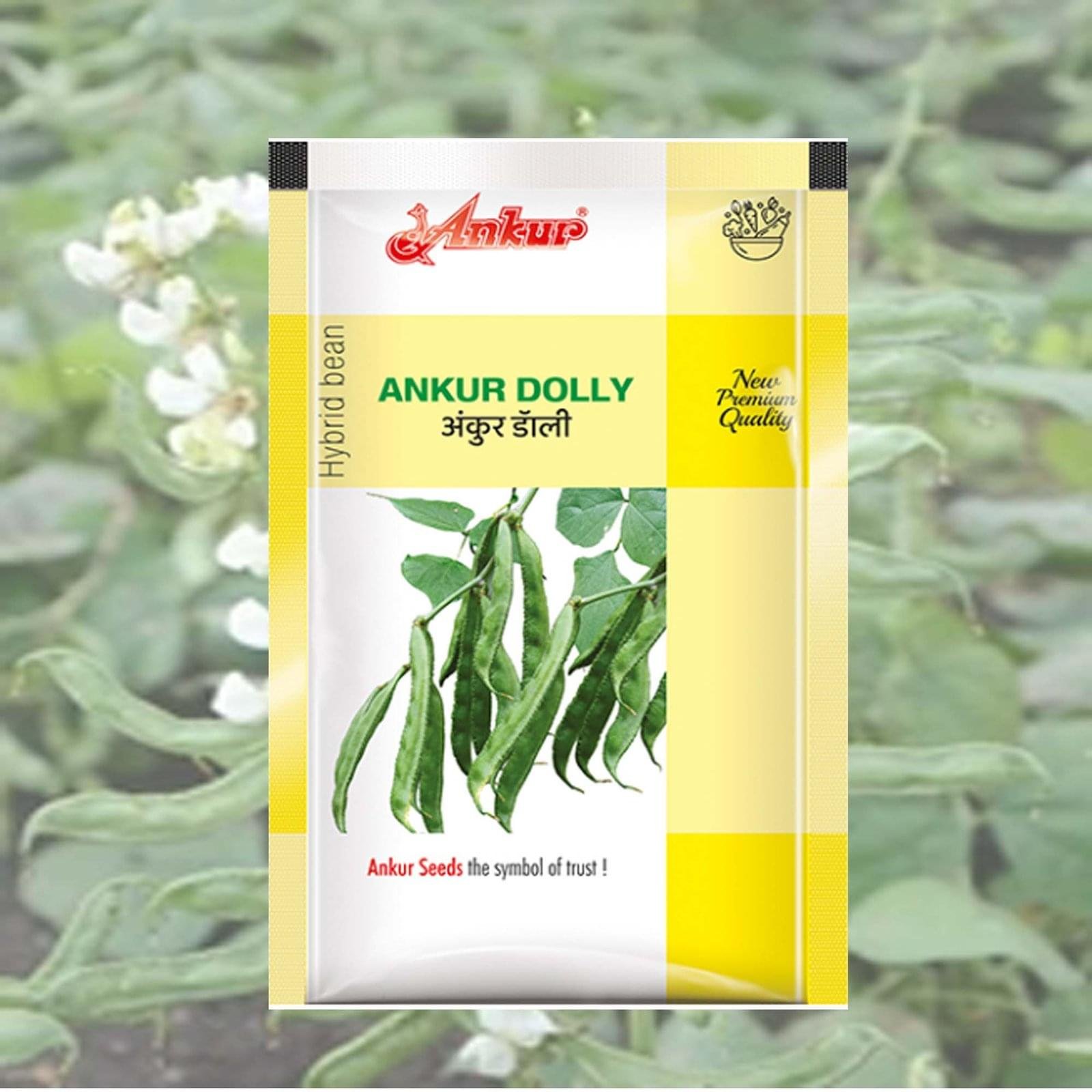 HY BEANS DOLLY ANKUR SEEDS - Image 4