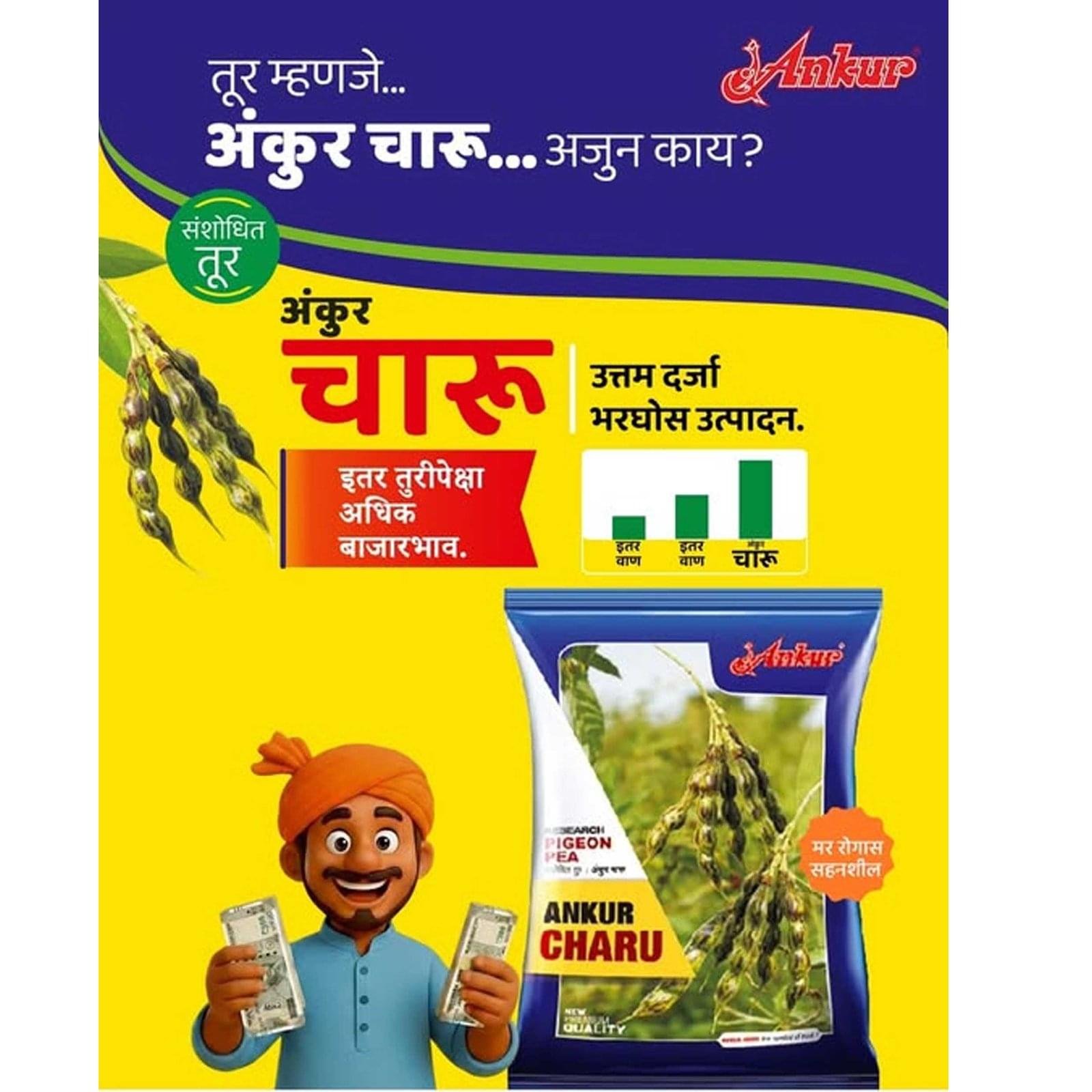 TUR ANKUR CHARU - Image 2