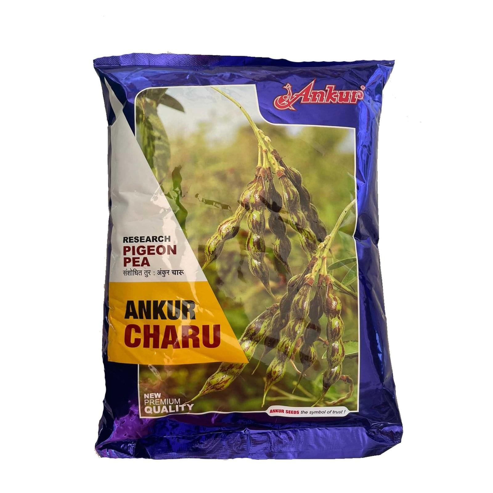 TUR ANKUR CHARU