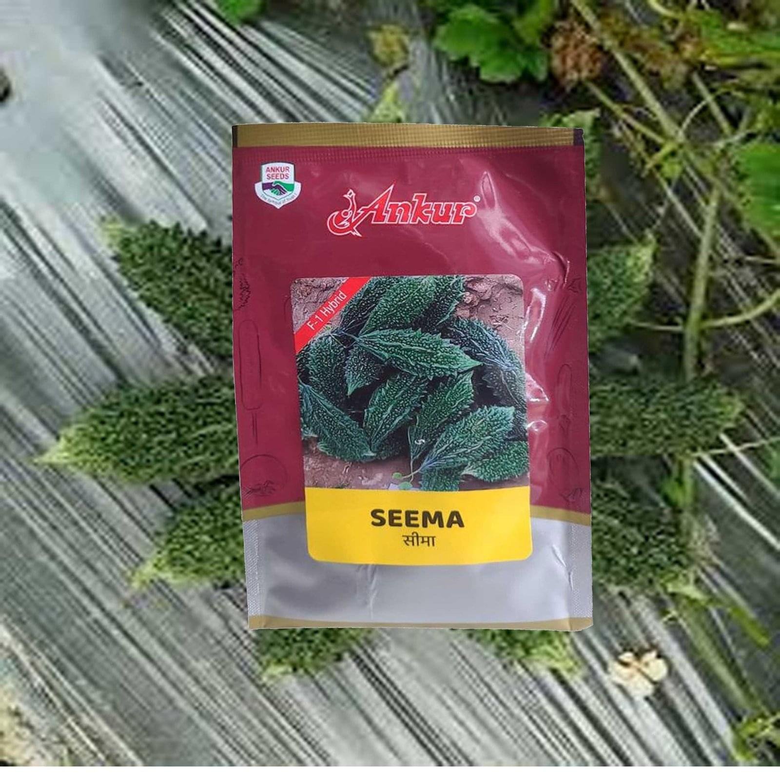 ANKUR HY. BITTER GOURD SEEMA - Image 2