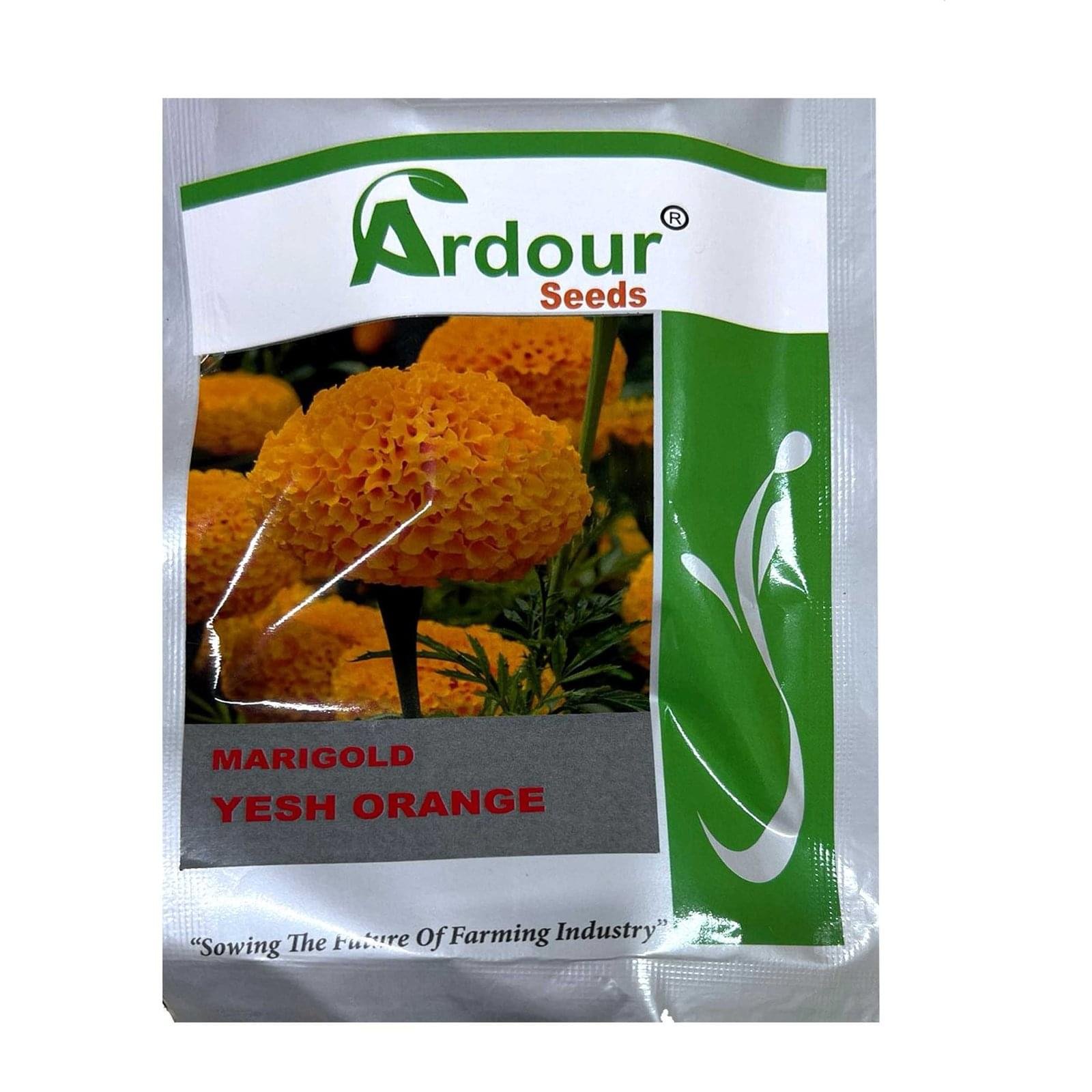 MARI GOLD YESH ORANGE ( ARDOUR SEEDS )