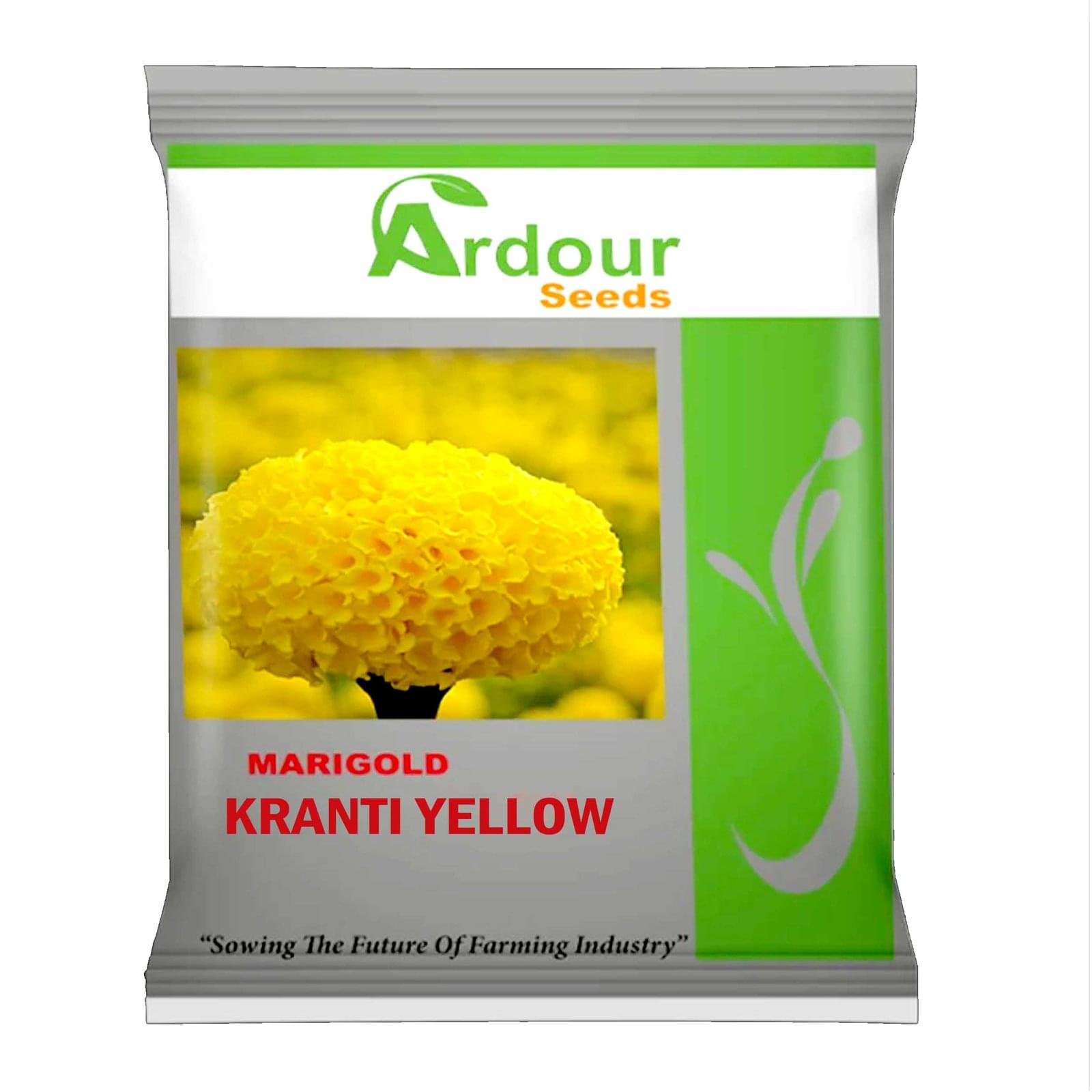 MARI GOLD KRANTI YELLOW ( ARDOUR SEEDS )