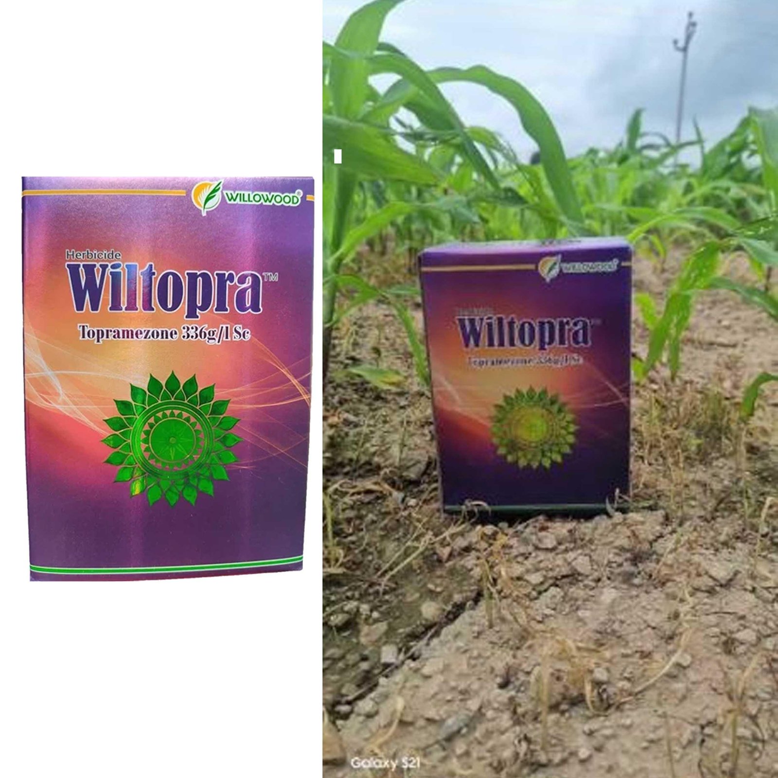 Willowood Wiltopra (Topramezone 336g/1Sc) 75 ML - Image 2