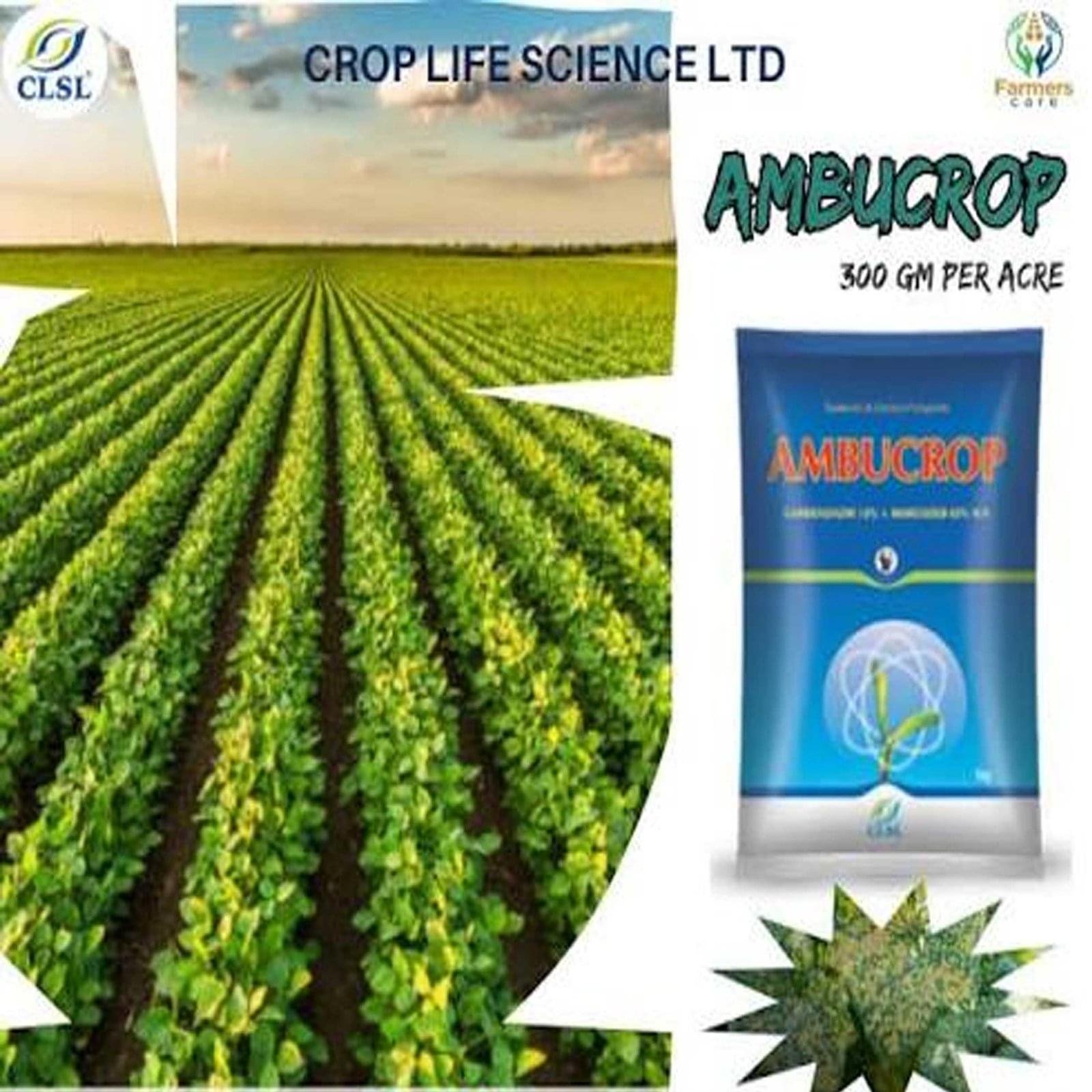 AMBUCROP CLSL (Carbendanzim 12% + Mencozeb 63% Wp) - Image 4
