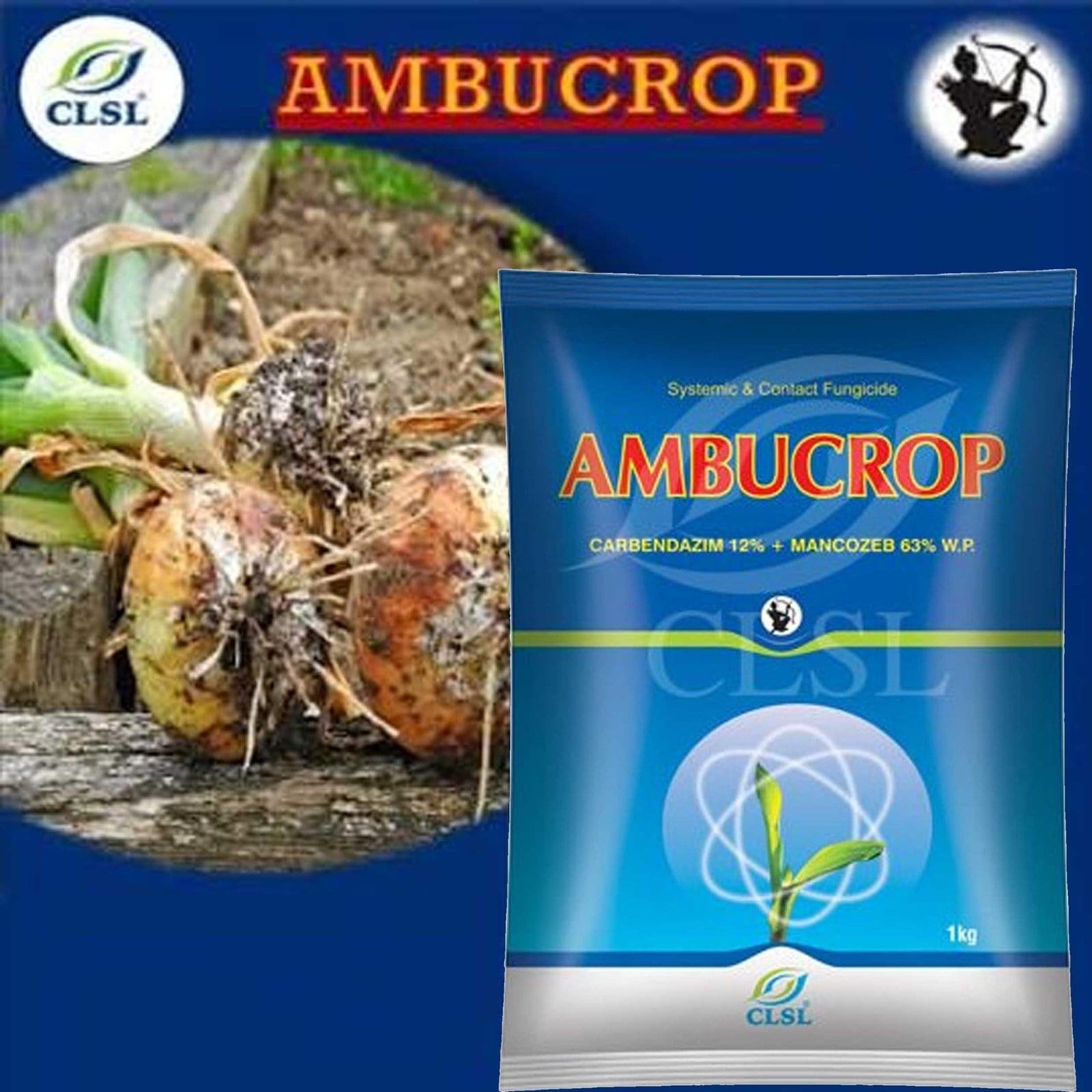 AMBUCROP CLSL (Carbendanzim 12% + Mencozeb 63% Wp) - Image 2