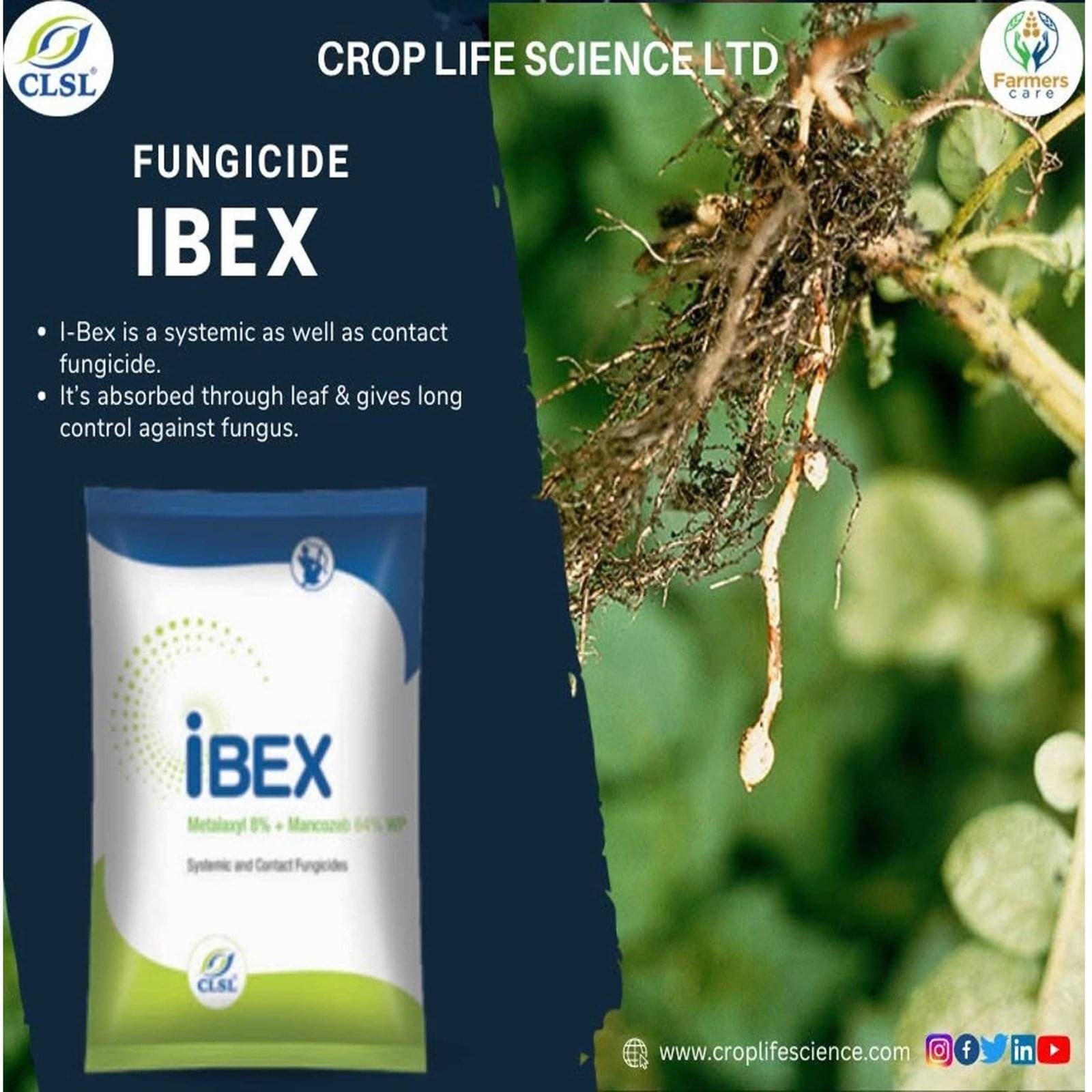 I-BEX Fungicide (Metalaxyl 8% + Mancozeb 64% WP) - Image 2